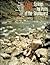 Hot Springs and Hot Pools o...