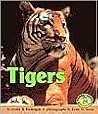 Tigers (Early Bird Nature Books)