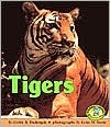 Tigers (Early Bird Nature Books)