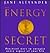 The Energy Secret : Practical Techniques for Understanding and Directing Vital Energy