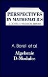 Algebraic D-Modules