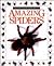 Amazing Spiders