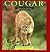 Cougar: Ghost of the Rockies