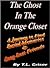 The Ghost in the Orange Clo...