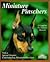 Miniature Pinschers: Everything About Purchase, Care, Nutrition, Breeding, Behavior, and Training With Color Photos (Complete Pet Owner's Manual)