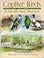 Captive Birds in Health and Disease by John E. Cooper
