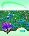 The Facts about Flowering Plants The Facts about Flowering Plants