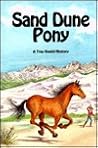 Sand Dune Pony (Wilderness Mysteries, #1)