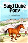Sand Dune Pony (Wilderness Mysteries, #1)