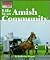 Life in an Amish Community