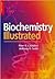 Biochemistry Illustrated: Biochemistry and Molecular Biology in the Post-Genomic Era