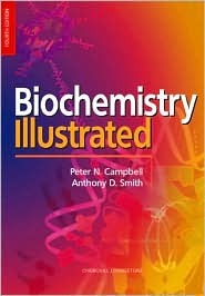 Biochemistry Illustrated: Biochemistry and Molecular Biology in the Post-Genomic Era (Paperback)