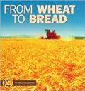 From Wheat to Bread