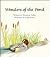 Wonders of the Pond