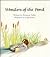 Wonders of the Pond