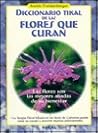 Diccionario tikal de las flores que curan / Tikal dictionary of flowers that heal (Spanish Edition)