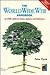 The Worldwide Web Handbook:...