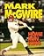 Mark McGwire, Home Run King