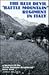 Blue Devil "Battle Mountain" Regiment in Italy: A History of the 350th Infantry Regiment 1944-45