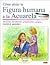 CÓMO PINTAR LA FIGURA HUMANA A LA ACUARELA (Aprender Creando ... by Carole Massey