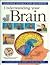 Understanding Your Brain (Science for Beginners Series)