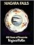 Niagara Falls: 100 Years of Souvenirs