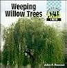 Weeping Willow Trees Weeping Willow Trees