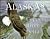 Alaska's Copper River Delta