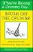 If You're Having A Crummy Day ... Brush Off the Crumbs! by Mims Cushing