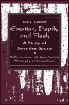 Emotion, Depth, and Flesh: A Study of Sensitive Space: Reflections on Merleau-Ponty's Philosophy of Embodiment (Paperback)