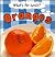Oranges (What's for Lunch)