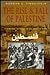 The Rise and Fall of Palestine by Norman G. Finkelstein