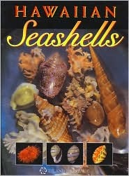 Hawaiian Seashells