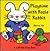 Playtime With Rosie Rabbit (Rosie Rabbit) A Lift-the-Flap Book