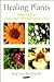 Healing Plants: A Medicinal Guide to Native North American Plants and Herbs