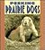 Peeking Prairie Dogs (Pull Ahead Books)