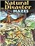 Natural Disaster Mazes