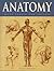 Anatomy , Made Simple For Artists