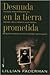 Desnuda en la tierra prometida by Lillian Faderman