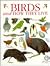 Birds and How They Live