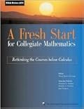 A Fresh Start for Collegiate Mathematics: Rethinking the Courses Below Calculus