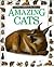Amazing Cats