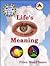 Life's Hidden Meaning
