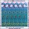 Sea Life in 5-D Stereograms/Contains Hidden, Multi-Dimensional Images