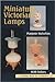 Miniature Victorian Lamps (A Schiffer Book for Collectors)