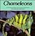 Chameleons (A Carolrhoda Nature Watch Book) (English and German Edition)