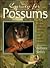 Caring for Possums