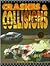 Crashes and Collisions (Race Car Legends)