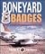 Boneyard Badges: Aircraft a...