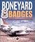 Boneyard Badges: Aircraft and Emblems at Davis-Monthan AFB